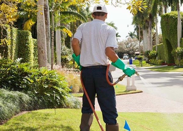 About Butte Des Morts WI Pest Control Pros